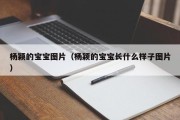 杨颖的宝宝图片（杨颖的宝宝长什么样子图片）